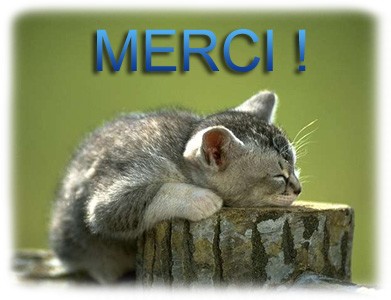 merci!